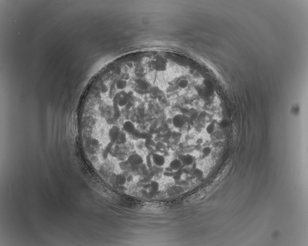 X0000116441267201001191524