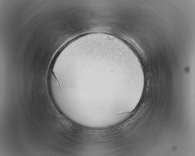 X0000116441268201001191524