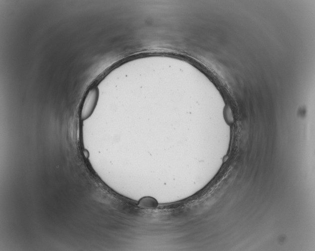 X0000116441269201001191524