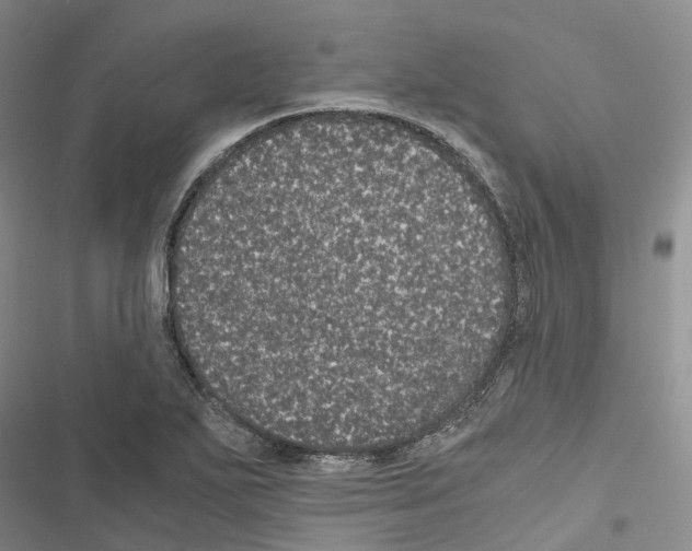 X0000116441271201001191524