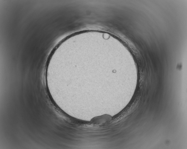 X0000116441272201001191524