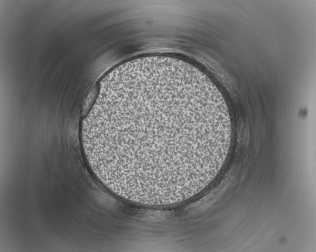 X0000116441273201001191524