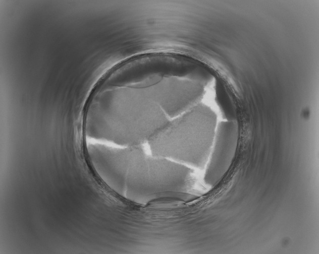 X0000116441275201001191524