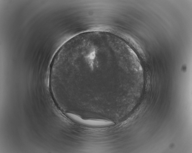 X0000116441276201001191524