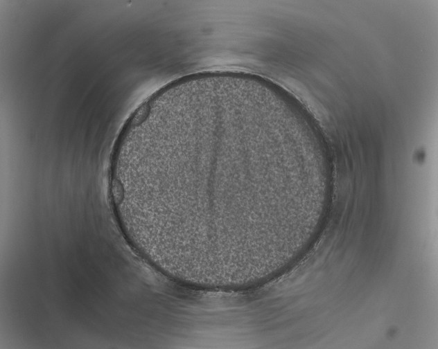 X0000116441277201001191524