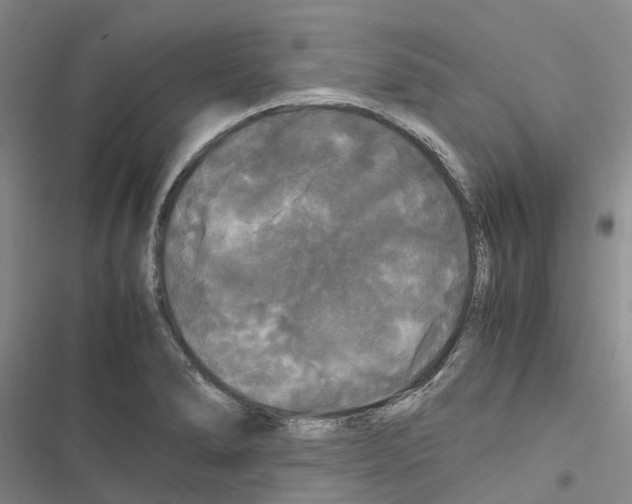 X0000116441278201001191524