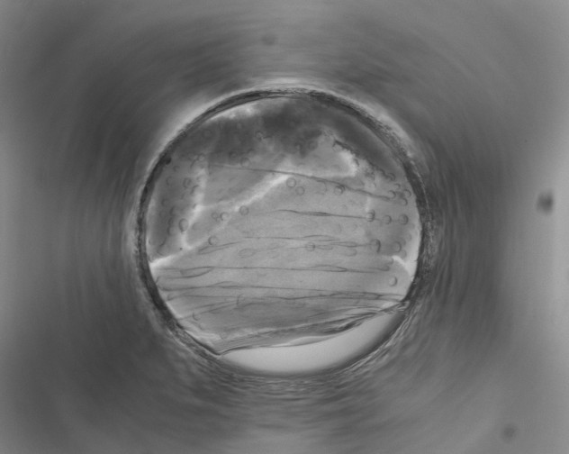 X0000116441279201001191524