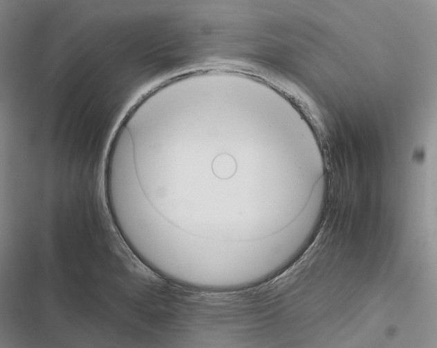 X0000116441280201001191524