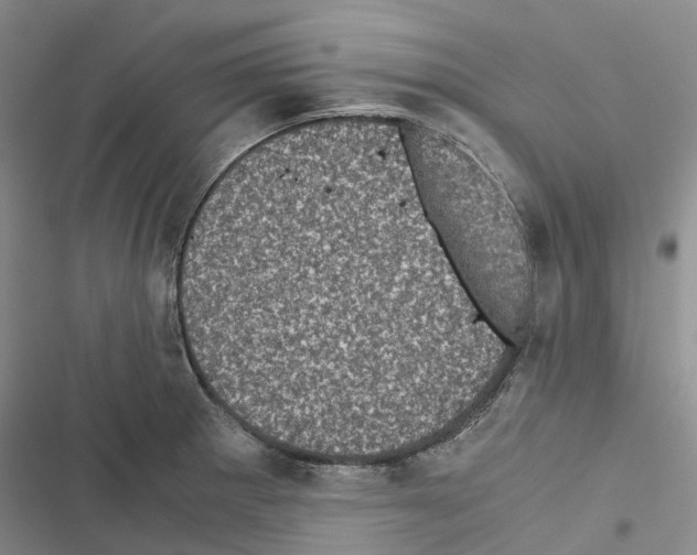 X0000116441281201001191524