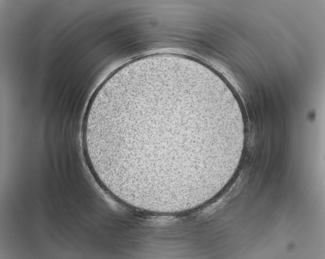 X0000116441282201001191524