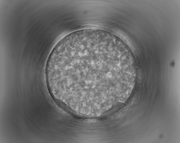 X0000116441283201001191524