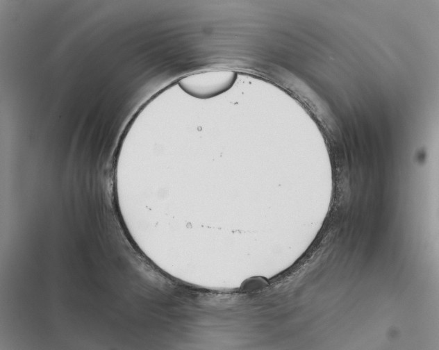 X0000116441284201001191524