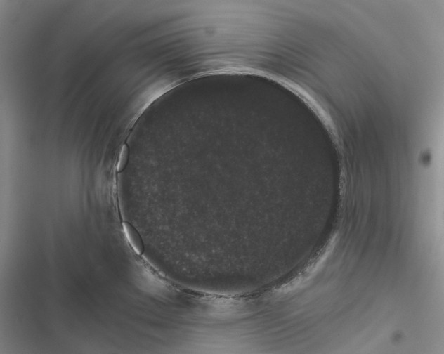 X0000116441289201001191524