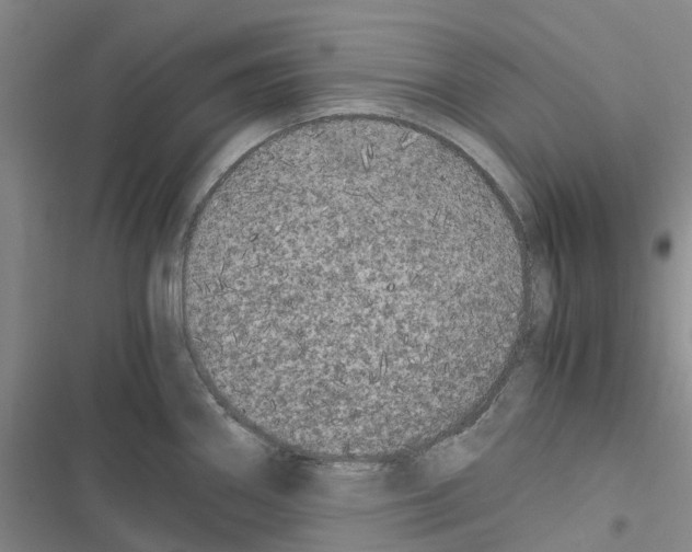 X0000116441290201001191524