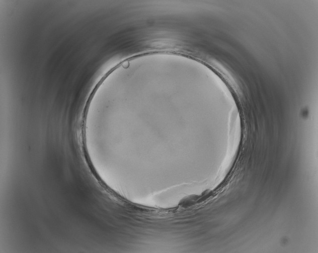 X0000116441291201001191524