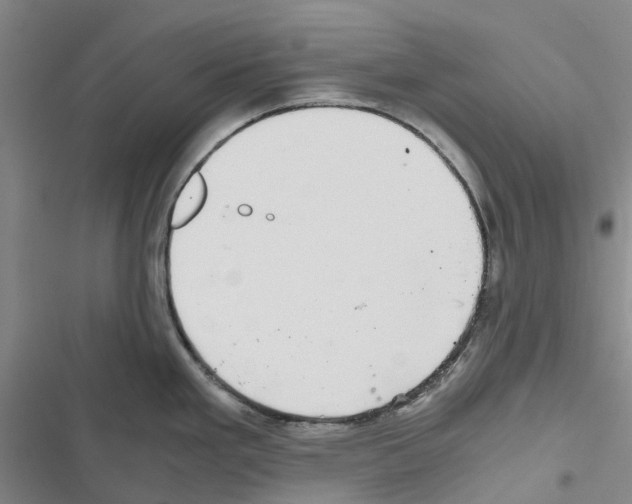 X0000116441293201001191524