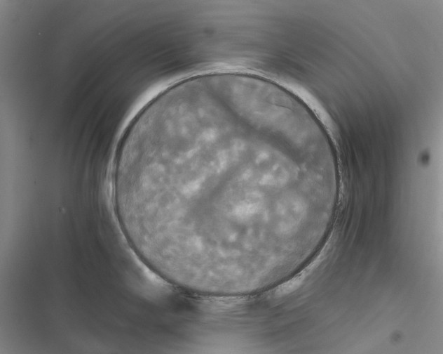 X0000116441294201001191524