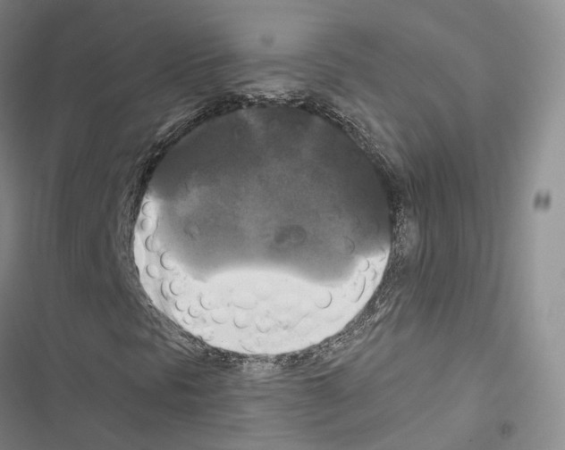 X0000116441297201001191523