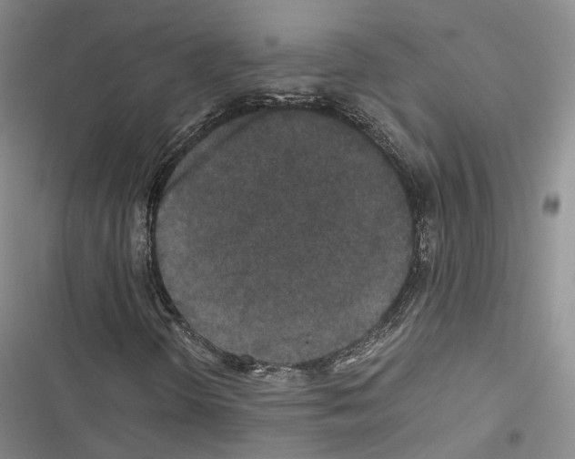 X0000116441298201001191523