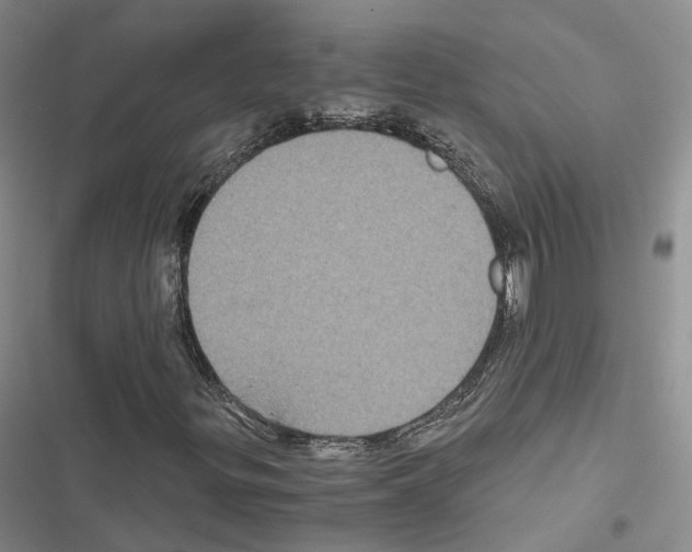 X0000116441299201001191523