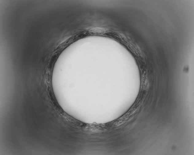 X0000116441301201001191523