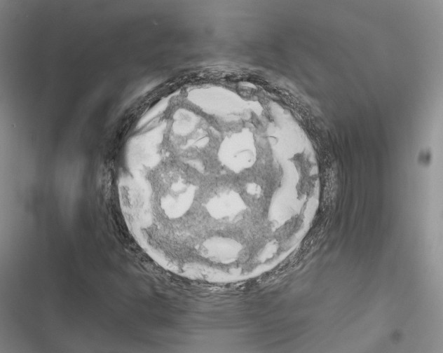 X0000116441302201001191523