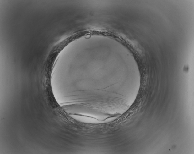 X0000116441303201001191523