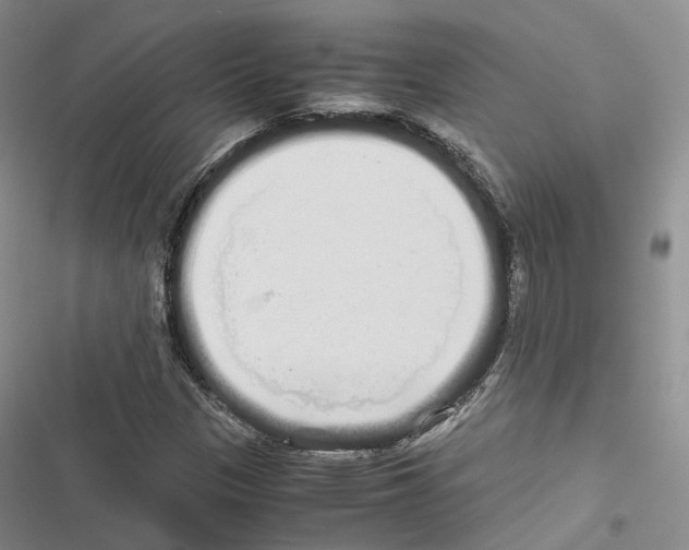 X0000116441305201001191523