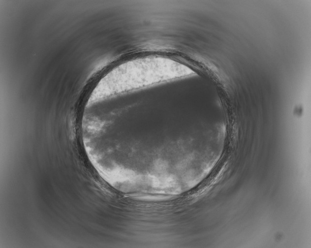 X0000116441306201001191523