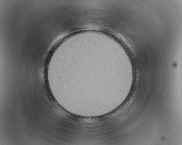 X0000116441307201001191523