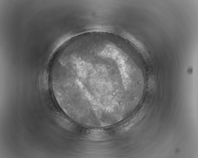 X0000116441310201001191523