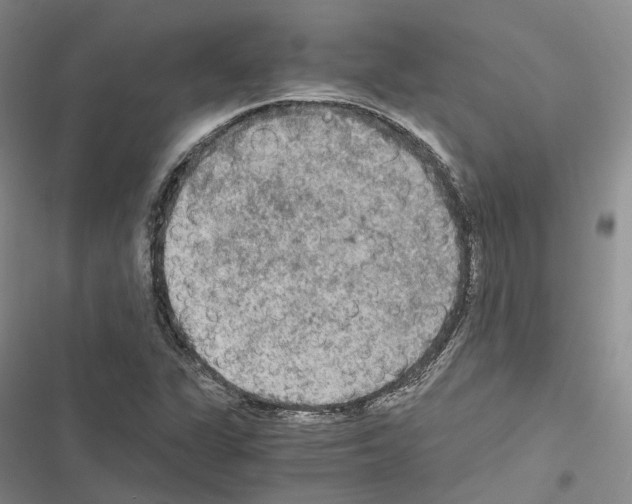 X0000116441311201001191523