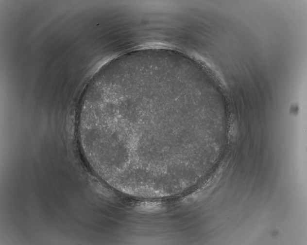 X0000116441313201001191523