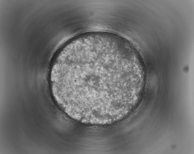 X0000116441314201001191523