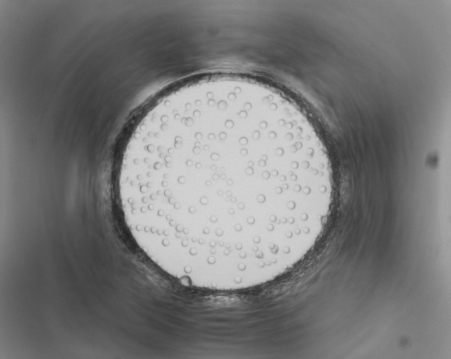 X0000116441315201001191523