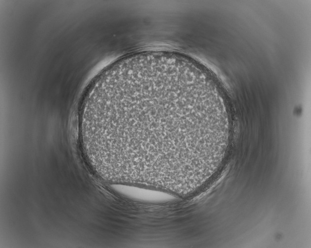 X0000116441317201001191523