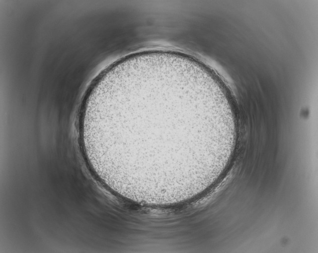 X0000116441318201001191523