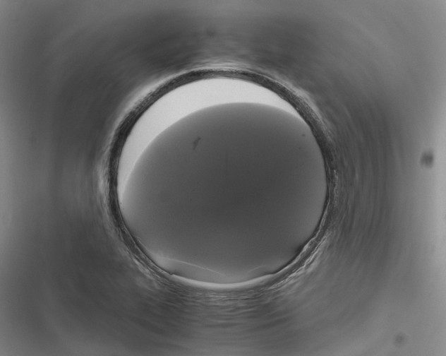 X0000116441319201001191523