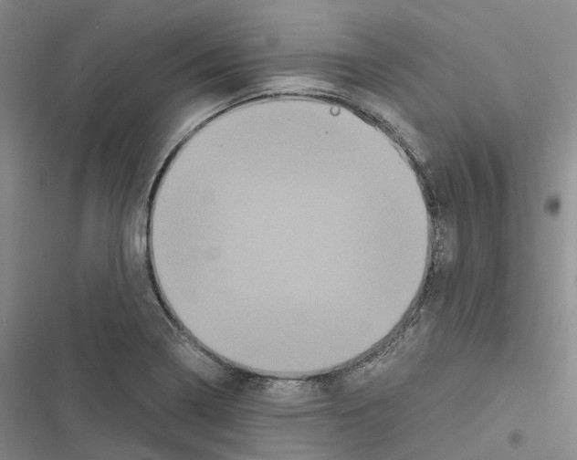 X0000116441322201001191523