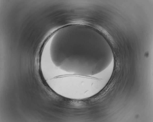 X0000116441323201001191523