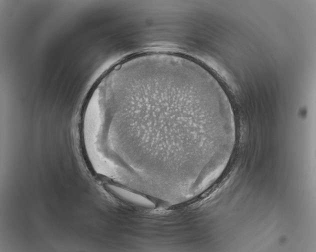 X0000116441325201001191523