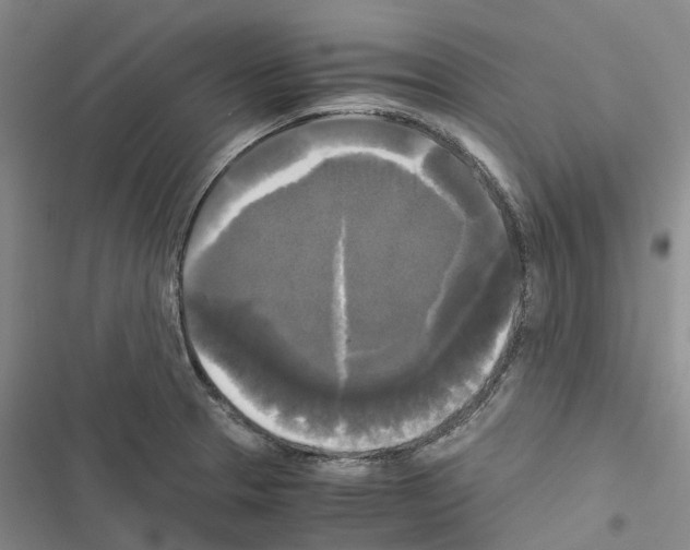 X0000116441329201001191524