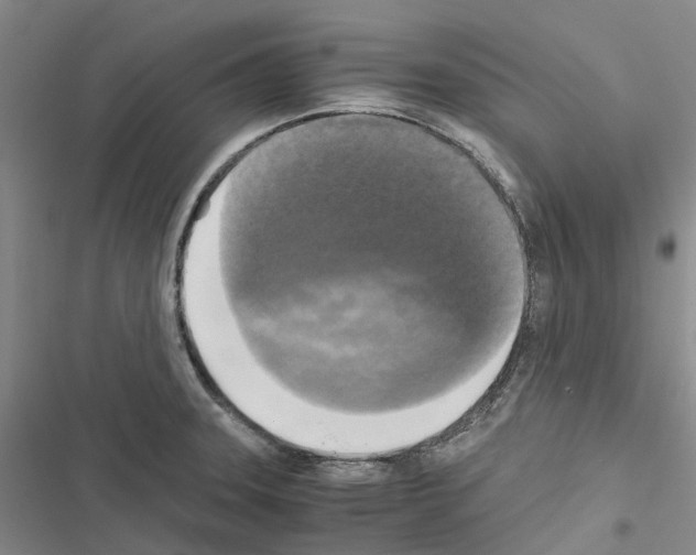 X0000116441331201001191524