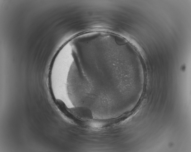 X0000116441333201001191524