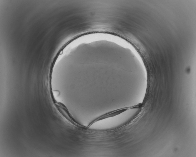 X0000116441334201001191524