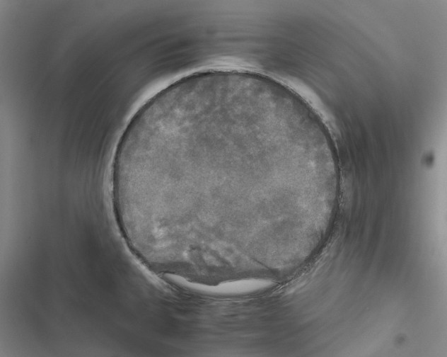 X0000116441335201001191524