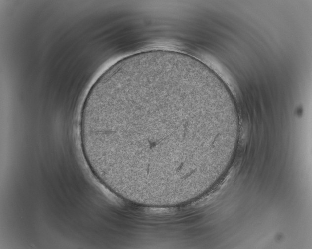 X0000116441339201001191524