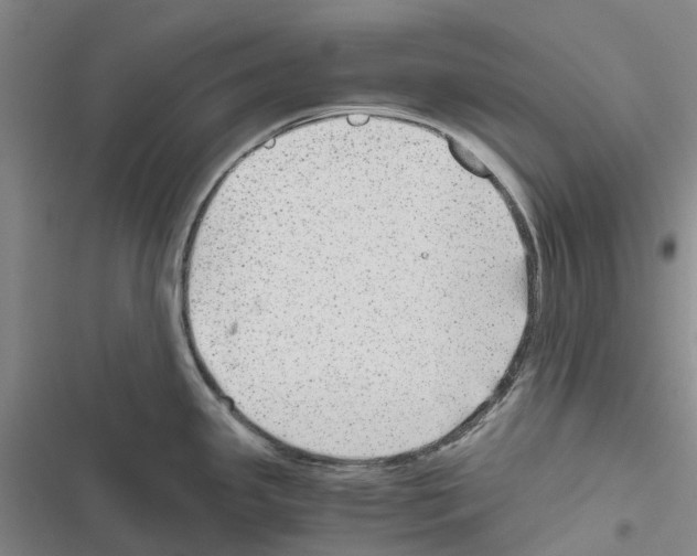 X0000116441341201001191524