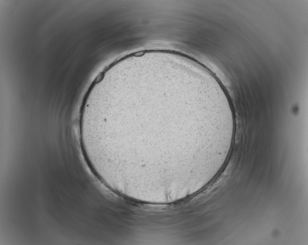 X0000116441342201001191524