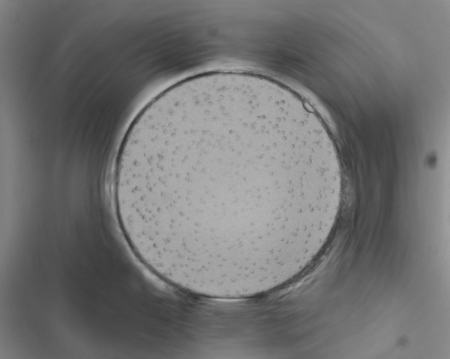 X0000116441343201001191524